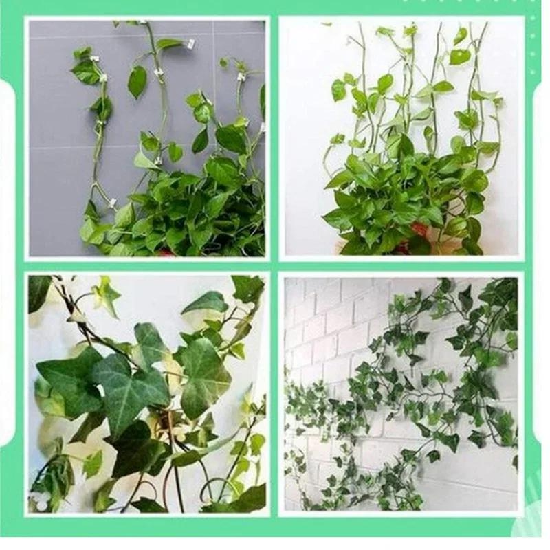 10Pc/set Plastic Invisible Wall Vines Fixture Wall Sticky Hook Self Adhesive Vines Fixing Clip Vines Holder Garden Home Supports