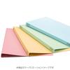 KOKUYO Flat File S2 A4 Long Edge Binding 4 Colors 2 Sets