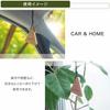 CARMATE Car Air Freshener Luno Hanging Wood Botanical Hanging Apple & Jasmine Lasts for 30 Days H1351