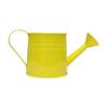 Metal Watering Can Long Spout Watering Pot with Sprinkler Head Garden Watering Can for Precise Indoor Outdoor Plant Watering