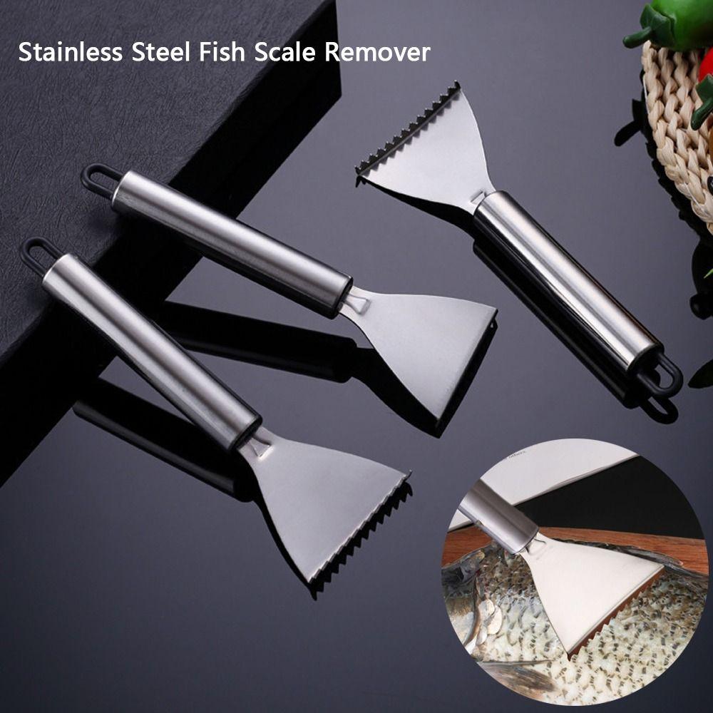 Stainless Steel Fish Scale Remover Easy Maneuverability Seafood Tools  Home Supplies