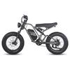 Electric Bicycle FAFREES F20 Ultra 20" 750W Motor Electric Bike Adult Top Speed 40Km/h 48V 25AH Range 140Km Load 180Kg