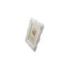 Nordic Style Wall Hanging Photo Frame DIY Photo Display Stand Creative White Photo Frame  Plant
