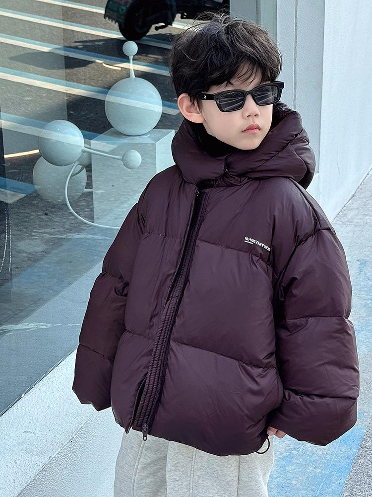 2025 Winter Korean-Style Boys' Hooded Down Jacket - Thick, Stylish Toddler Coat