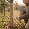 Burlap Fabric for Trees Natural Tree Protector Wraps Winter Garden Plants, Trunk Protector, Cold Proof Bandage Plants Wrap Bandage, Frost Freeze