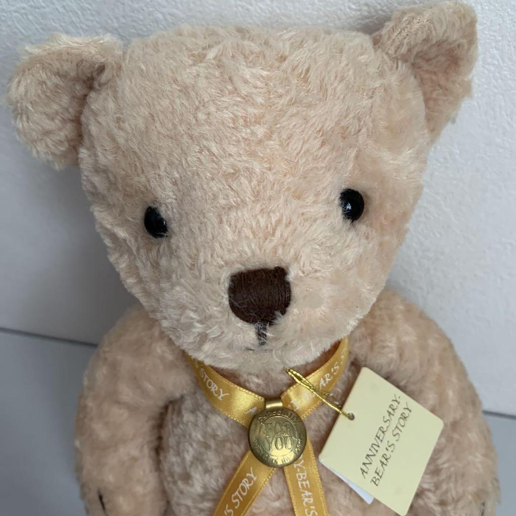[USED] Teddy Bear, Teddy Bear, Stuffed Toy