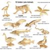 Children's Static Wild Animal Bird and Parrot Figure Set