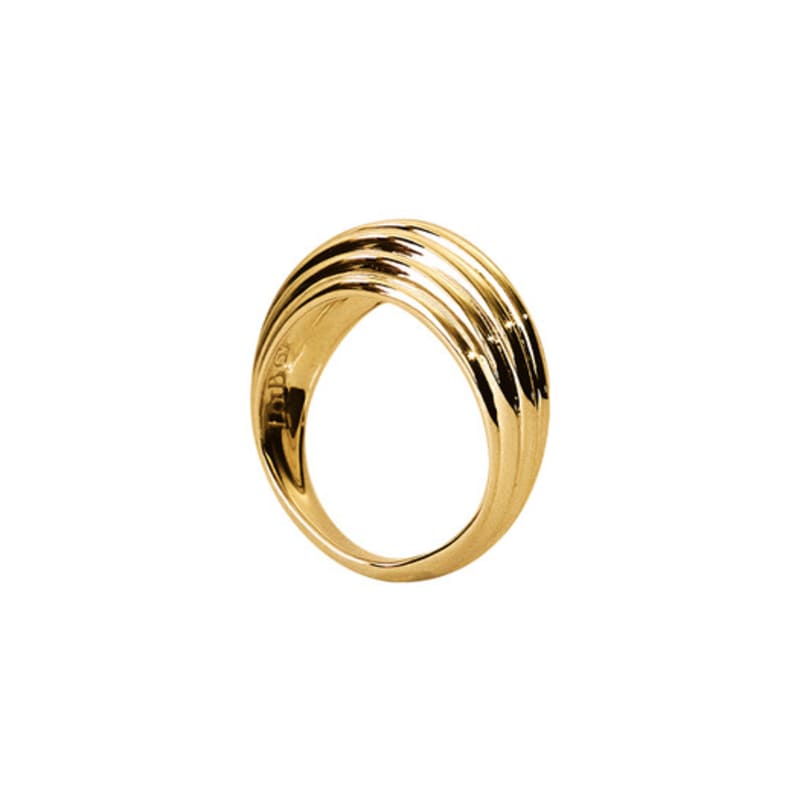 

Love of the Bush LAYERS. SHARP I GOLD