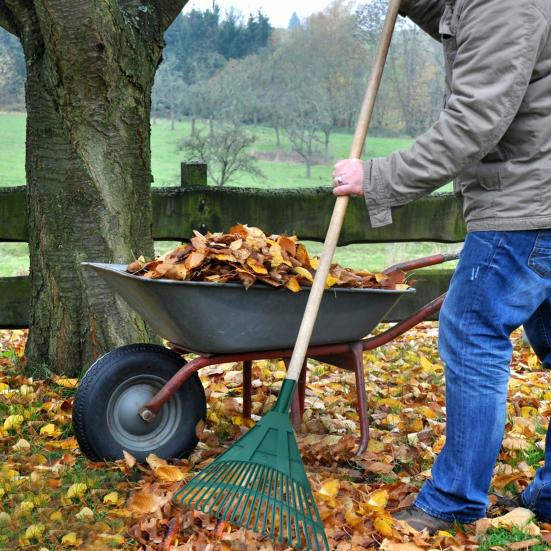 

Садовые грабли для листьев, 20 зубьев, грабли для опавших листьев, увядшей травы