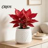 Deep Soil Planting Basin Self Watering Planter with Wick Rope for Indoor Plants, Double Layer Pot Home Transparent Hydroponic Planter, Decorative