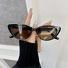 Designer Brand Cat Eye Sunglasses Women Men Casual Small Frame Sun Glasses Female Mirror Colors Luxurious Fashion