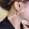 Women's 2023 Light Luxury Tassel Dangle Earrings - Niche Design and Trendy Studs