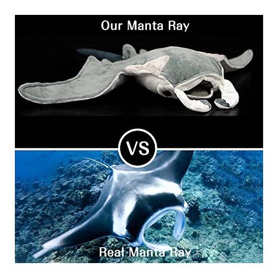 ZHONGXIN MADE Manta Ray Plush Toy, Realistic Manta Ray Stuffed Animal, Super Soft and Cute Plush Animal Gifts for Boys and Girls