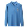 Men's Spring and Autumn New Embroidered Polo Shirt Men's Fashion Korean Style Lapel Long Sleeve T-shirt