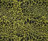 oneOone Cotton Flex Fallow Fabric Giraffe Animal Skin Sewing Craft Projects Fabric Prints By Yard 40 Inch