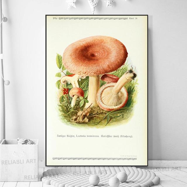Vintage Mushroom Specimen Canvas Painting Antique Wall Art Herbal Pictures Science Posters and Prints Home Office Decor Cuadros