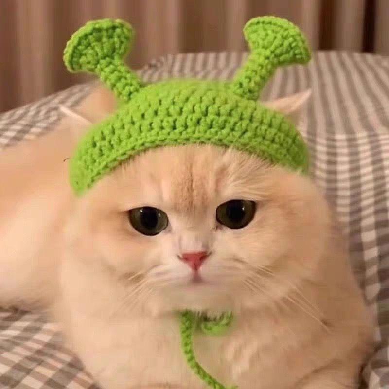 Cute Handmade Knitted Flower Hat And Bib Set For Pet Cats And Dogs