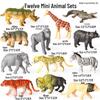 Realistic Forest Animal Miniatures: Monkey, Squirrel, Raccoon, Meerkat, Fennec Fox, Cat Toys & Ornaments