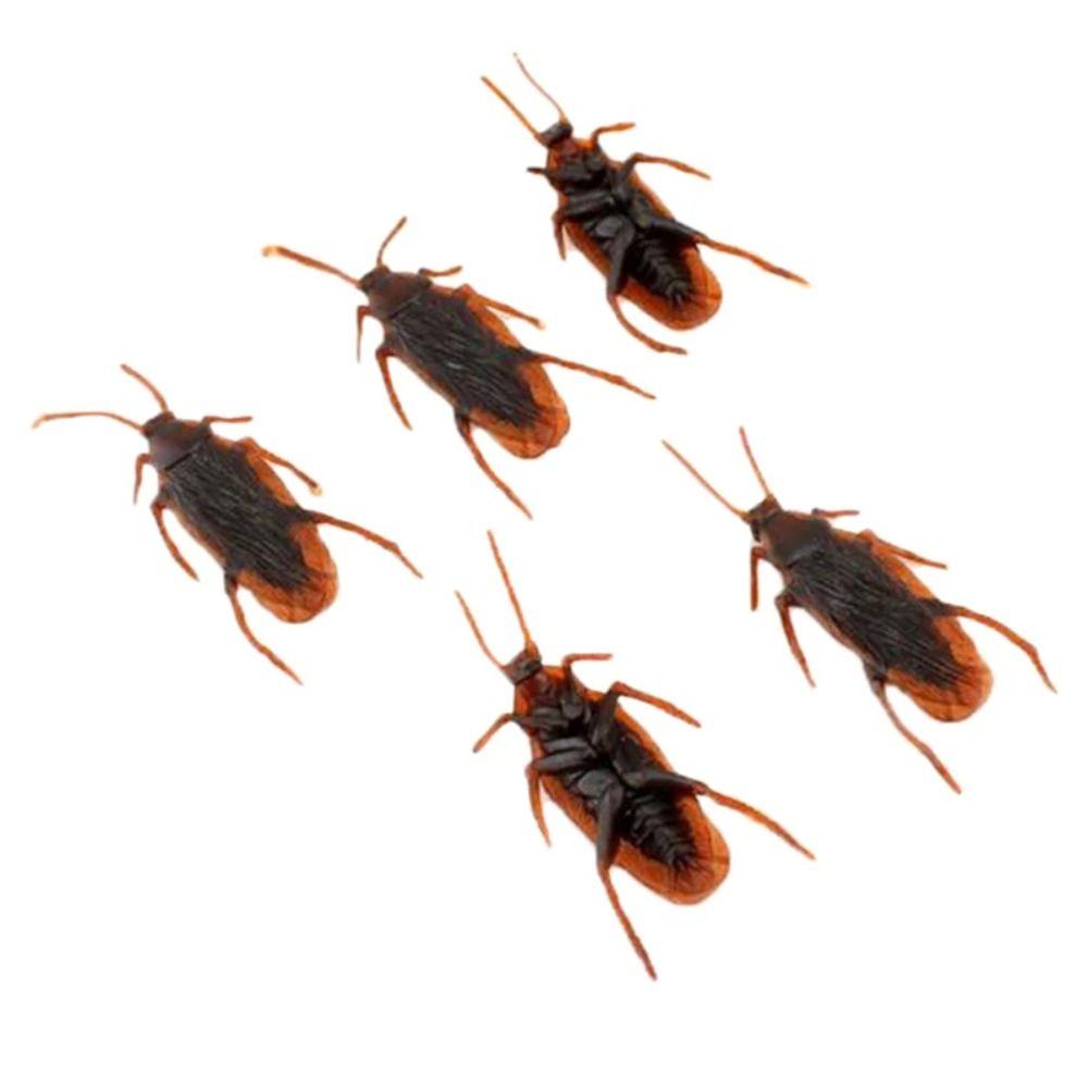 50pcs Bug Roaches Simulation Cockroach Toys Trick Cockroach Prank Toys  Men Women