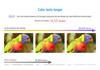 Weixue 7" IPS/QLED Display 1024×600 Thin & Light Optional Touchscreen