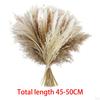 Floral Bouquet Reed Vase Dried Flower Photography Living Room Arrangement