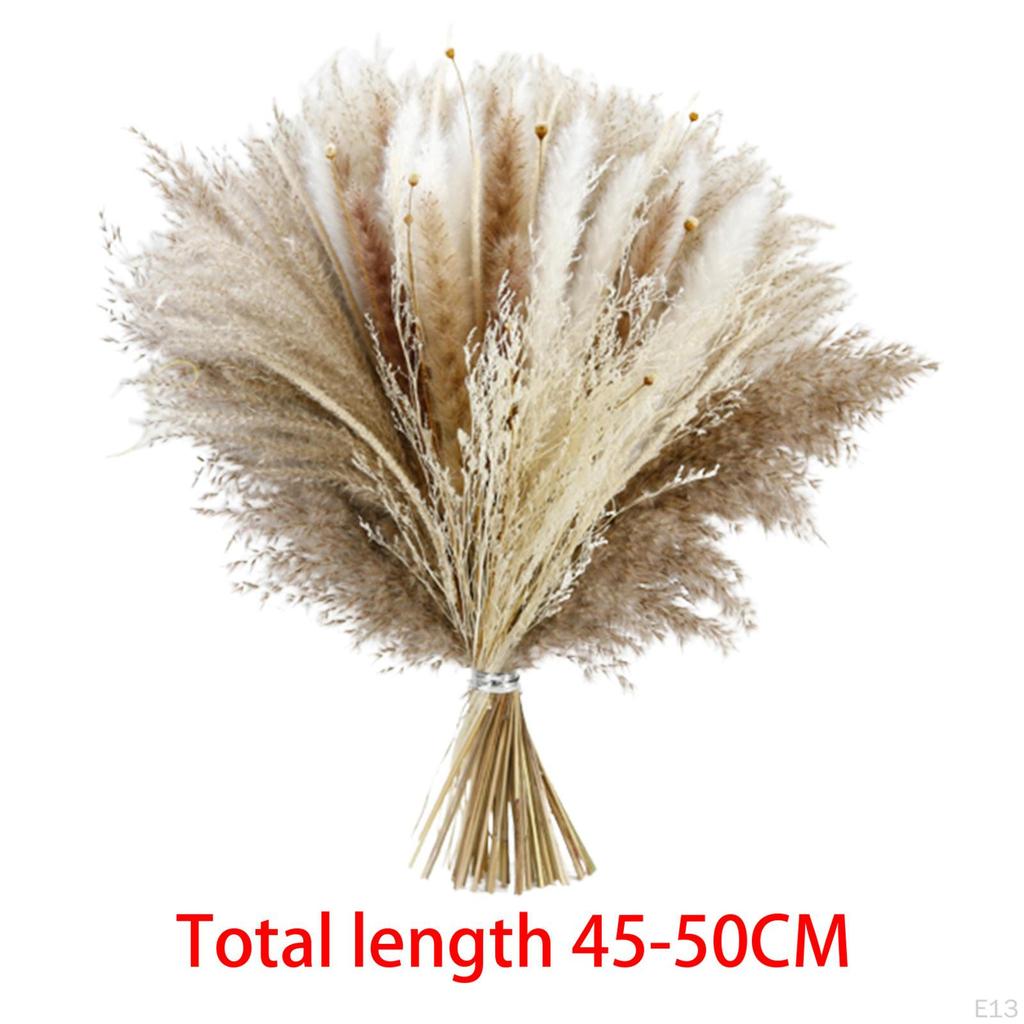 Floral Bouquet Reed Vase Dried Flower Photography Living Room Arrangement