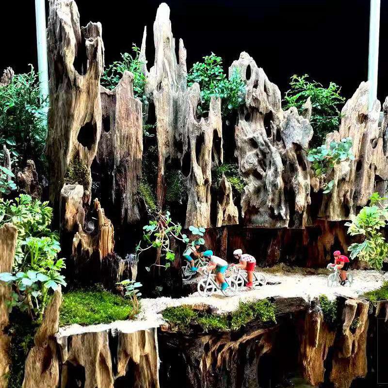 Decorazione per Acquario in Legno di Gamberetti, Legno Galleggiante Accessori Ornamentali per Vasche per Pesci Con Fori Naturali Adatto per Gamberetti