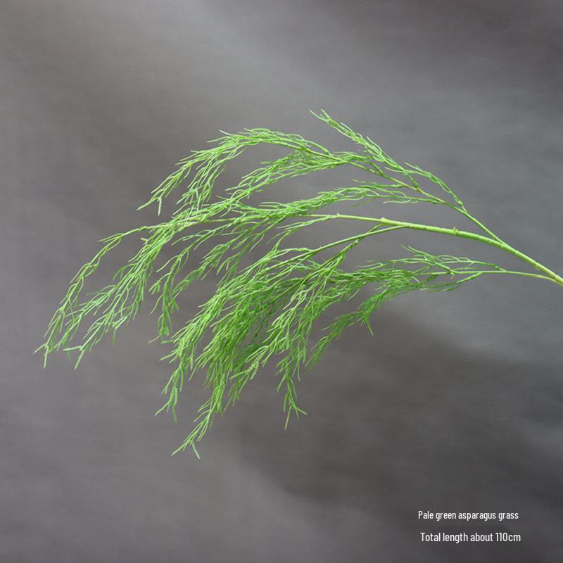 Asparagus Fern & Willow Buds Greenery for Wedding Decor & Landscaping