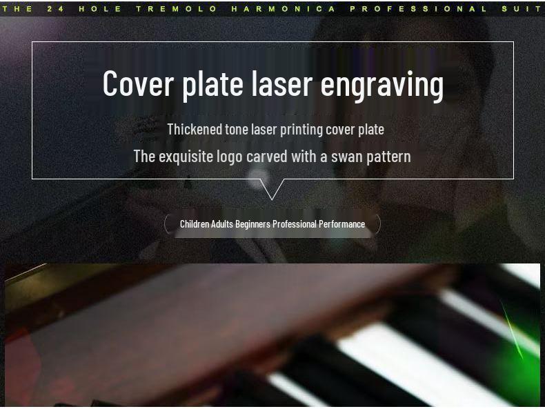 Swan 24-Hole Harmonica Set: 7-Piece and 12-Piece Options, ABCDEFG Keys, for Students and Adults, Beginner Wind Instrument.