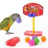 Bird Training Toys Set Parrot Intelligence Toy Colorful Safe Material for Budgie Parakeet Cockatiel Macaw 4 Sorts