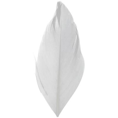 Decorative Feathers - ARTEMIO - Pearl Gray - 6 Cm - 3 G