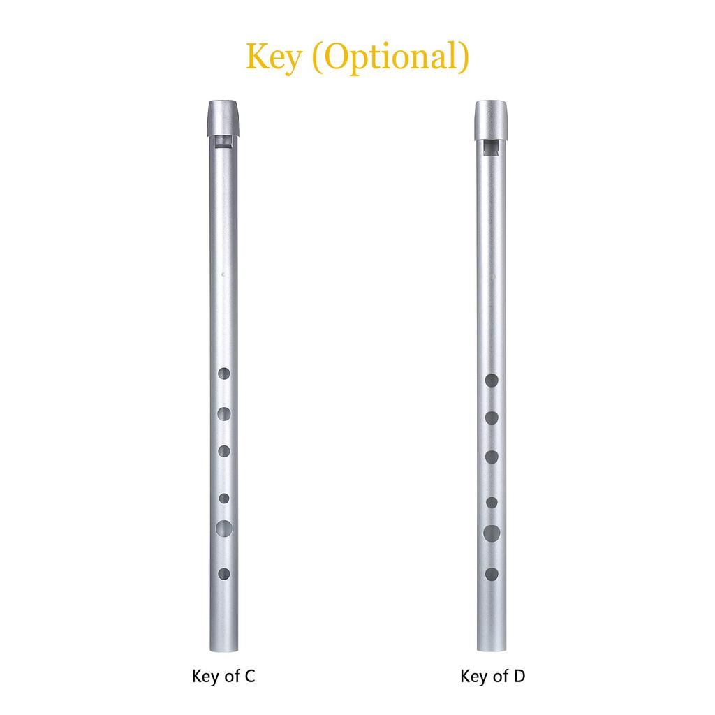 Penny Whistle, Funien Irish Flute Traditional Timpenny Flute 6-Hole Flute Wind Instrument for Beginners, Intermediate and Professionals - D Key