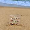 36/64 Grids Seashell Display Box Acrylic Magnetic Seashell Display Case Organizer Box Stackable Diy Craft Compartment Box