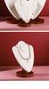 Jewelry Display Stand for Necklaces and Pendants