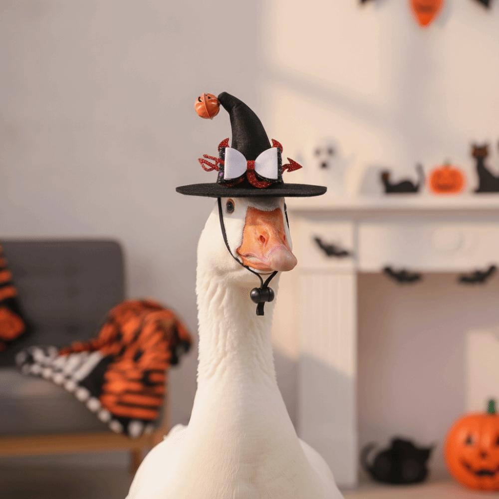 With Bell Cat Wizard Cap Sequin Bowknot Dog Halloween Headwear Pet Witch Hat Festival Carnival