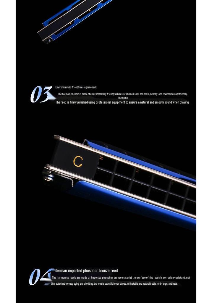 Swan 24-Hole Harmonica, C Key, Double Reed for All Levels – Perfect for Practice, Performance & Competition