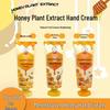 Mentholatum Floral Honey Daily Repair Hand Cream (3 X 50g)