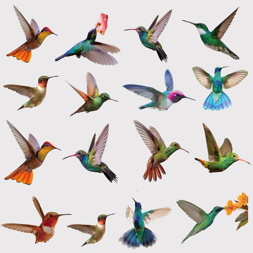 9 Piece Simulation Hummingbird Electrostatic Window Stickers Glass Stickers Home Decor Living Room Ornament Accessories