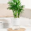 Mini Self Watering Flower Pot Fish Tank Transparent Plastic Plant Pots Self Watering Planter Pot Vase For Home Decoration
