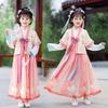 Autumn 2025 Girls' Hanfu: Ancient Ming Dynasty-Inspired Fairy Tang Suit for Little Girls
