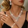 Claw Chain Series Loose Diamond Zircon Earrings Necklace Set Retro Simple Dress Full Diamond Collarbone Chain Women