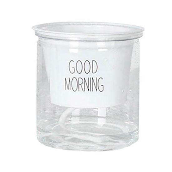 2 Sets Double Tier Hydroponic Epipremnum Aureum Self-watering Flowerpot Home Decor