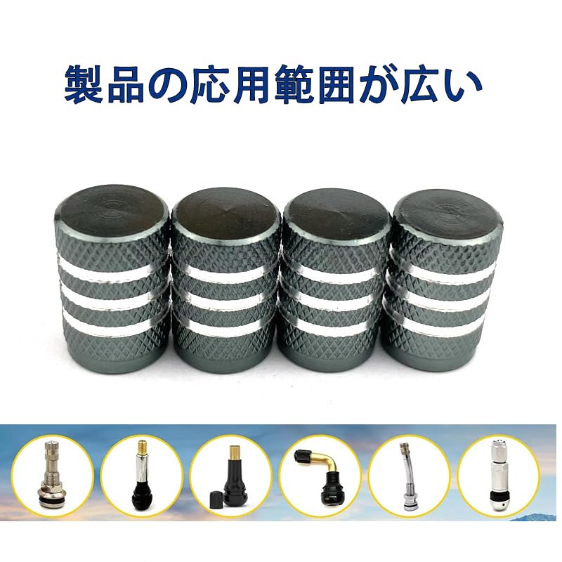 General Purpose Air Valve Cap, Set of 4, for Cars,