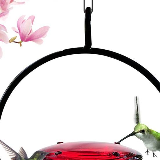 Wunderschöner Hängender Kolibri-Futterspender Ameisen- und Bienensicher Einfach zu Befüllen Verschleißfest Outdoor