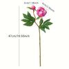 5 Stück Künstliche Pfingstrose mit je 2 Blütenköpfen, Heimhochzeit Weiche florale Fotorequisiten Ornamente Fortgeschrittener Sinn Simulations-Pfingstrosen-Bouquet