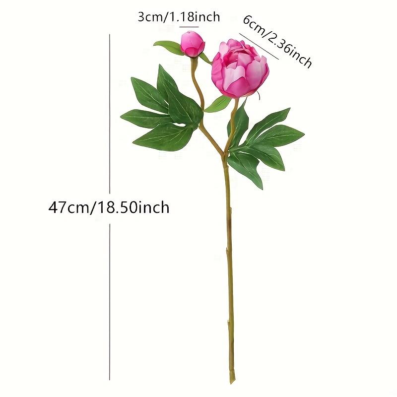 5 Stück Künstliche Pfingstrose mit je 2 Blütenköpfen, Heimhochzeit Weiche florale Fotorequisiten Ornamente Fortgeschrittener Sinn Simulations-Pfingstrosen-Bouquet