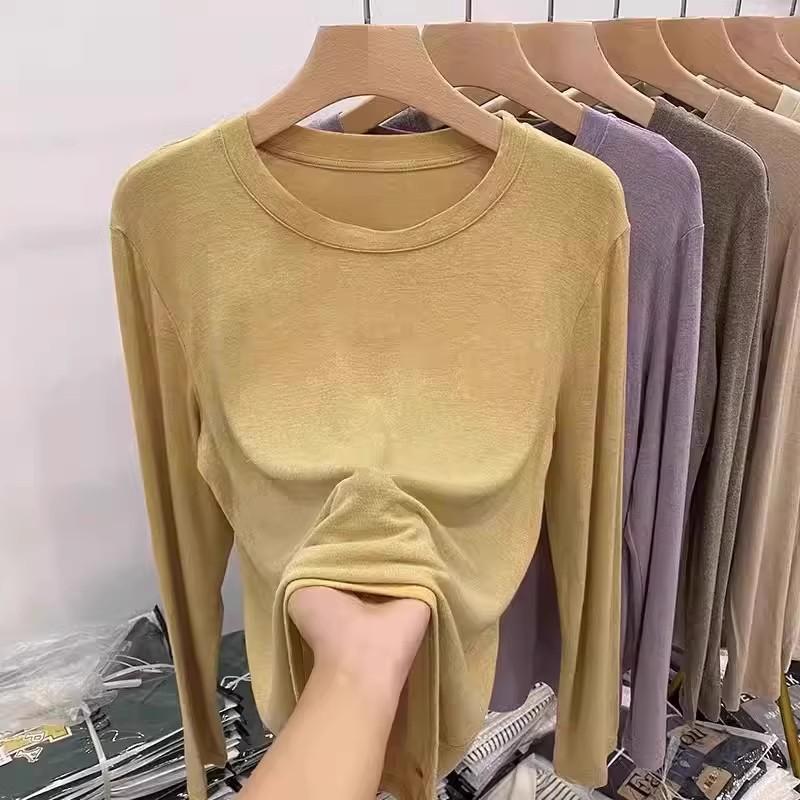 Soft waxy mask t early spring autumn winter 2024 new loose long-sleeved t-shirt women's simple inner layering shirt solid color top