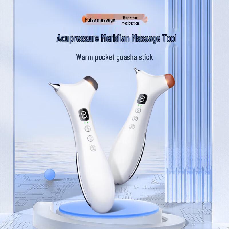 Ruichu Electronic Acupoint Meridian Massager CN plug (adapter included)