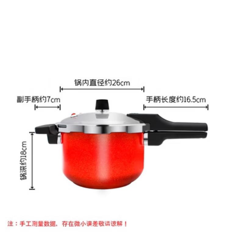 OLOEY 304 Stainless Steel Non-Stick Pressure Cooker