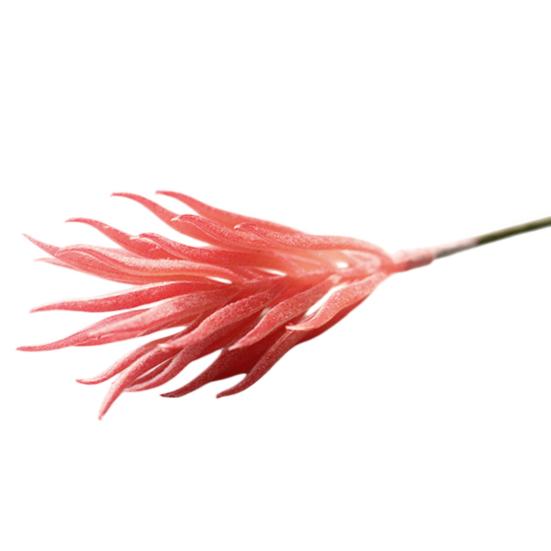 Mini Künstliche Sukkulenten Realistische Fake Kleine Kakteen Pflanzen Bunte Kunststoffe Beflockte Topflose Pflanzen für Garten Blumentopf Küche Heimdeko